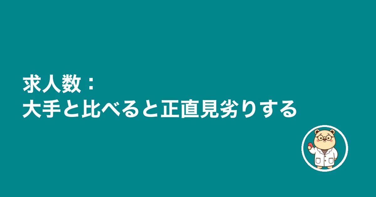 求人数：大手と比べると正直見劣りする