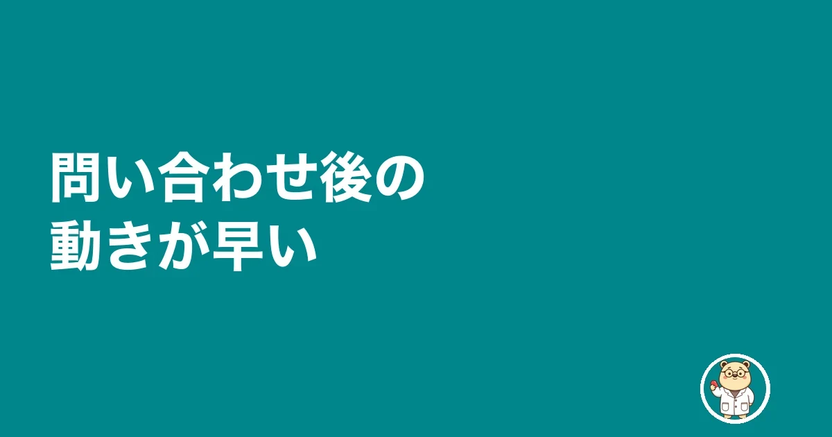 問い合わせ後の動きが早い