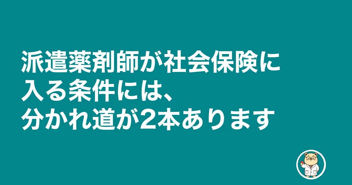 薬剤師 派遣 社会保険|派遣薬剤師が社会保険に入る条件には、分かれ道が2本あります