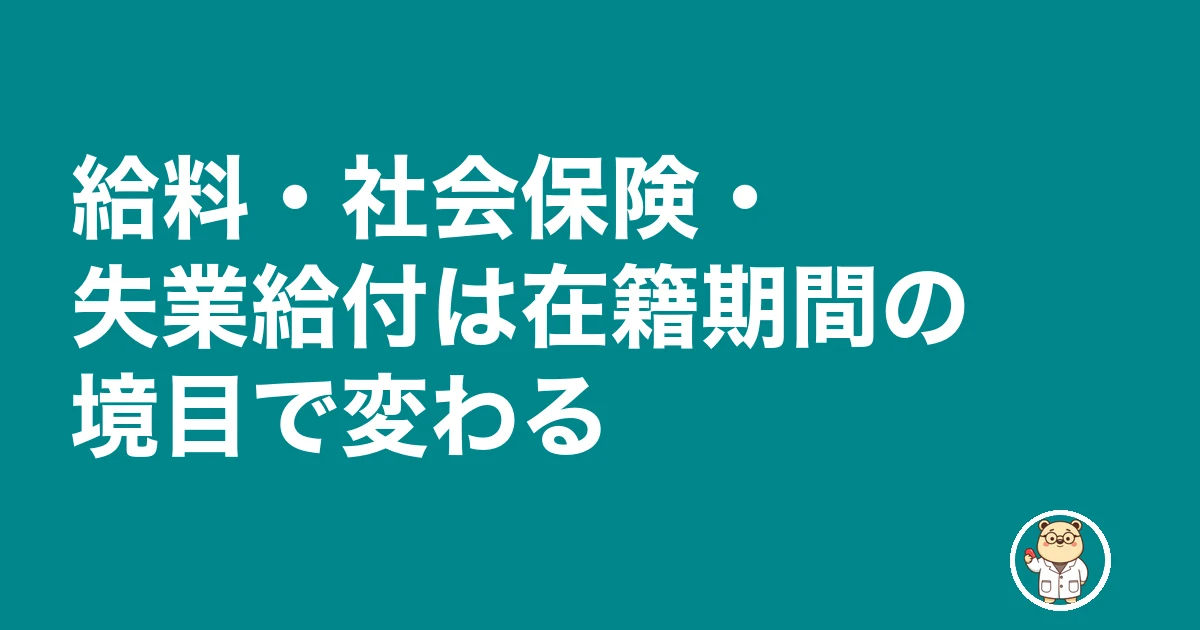 薬剤師 試用期間 退職|給料・社会保険・失業給付は在籍期間の境目で変わる